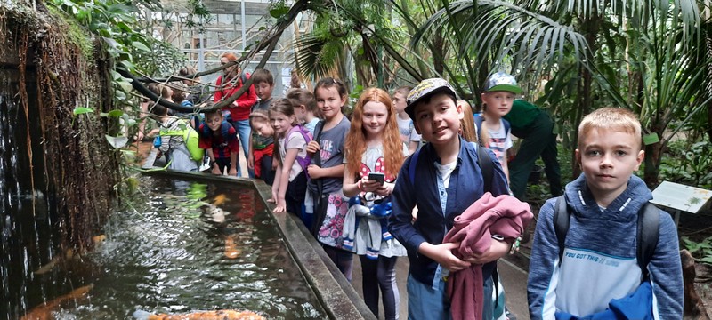 Fotografia przedstawia drugoklasistów stojących wzdłuż akwenu wodnego z pomarańczowymi, dużymi rybami. Dzieci z zachwytem spoglądają w kierunku ryb. W tle widać wysokie odmiany palm.