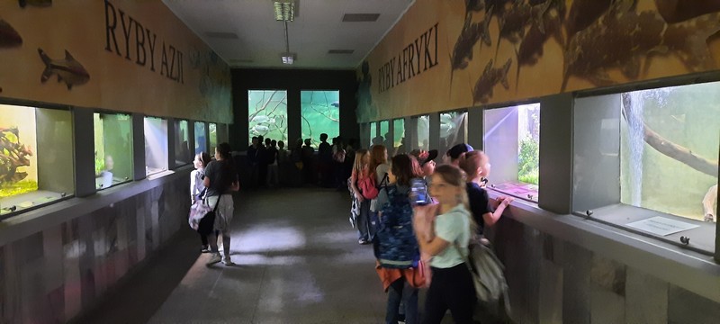 Fotografia przedstawia cały zespół dzieci z klasy 2b. Drugoklasiści w odrębnej części obiektu podziwiają ryby pochodzące z Azji i Afryki. W korytarzu panuje półmrok. Część wystawowa podzielona jest na małe segmenty.