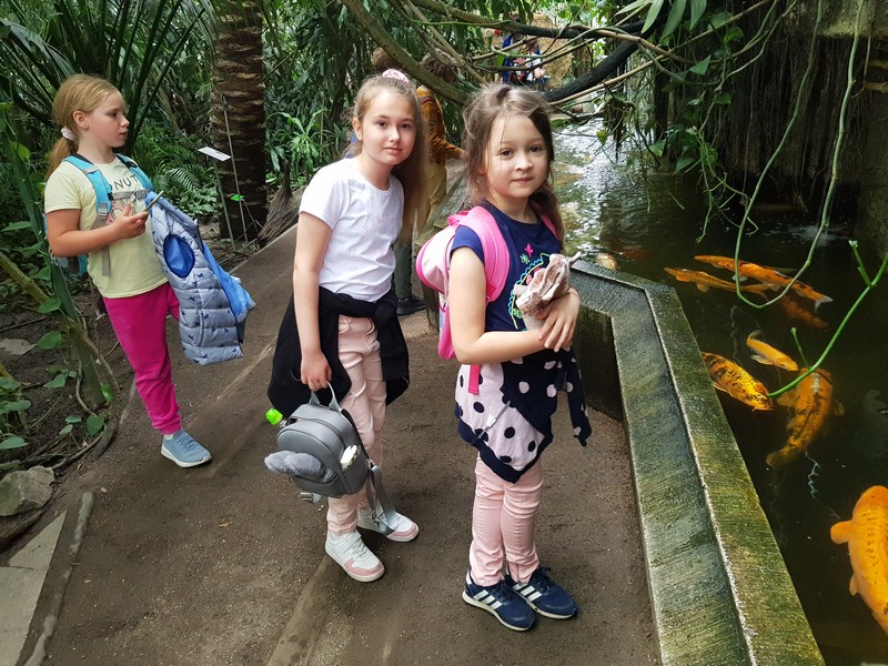 trzy dziewczynki podziwiają "złote rybki"